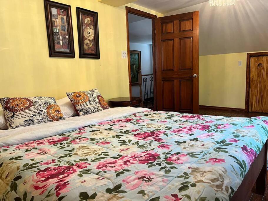 Petite Maison 2 Bedrooms Holiday home Levis