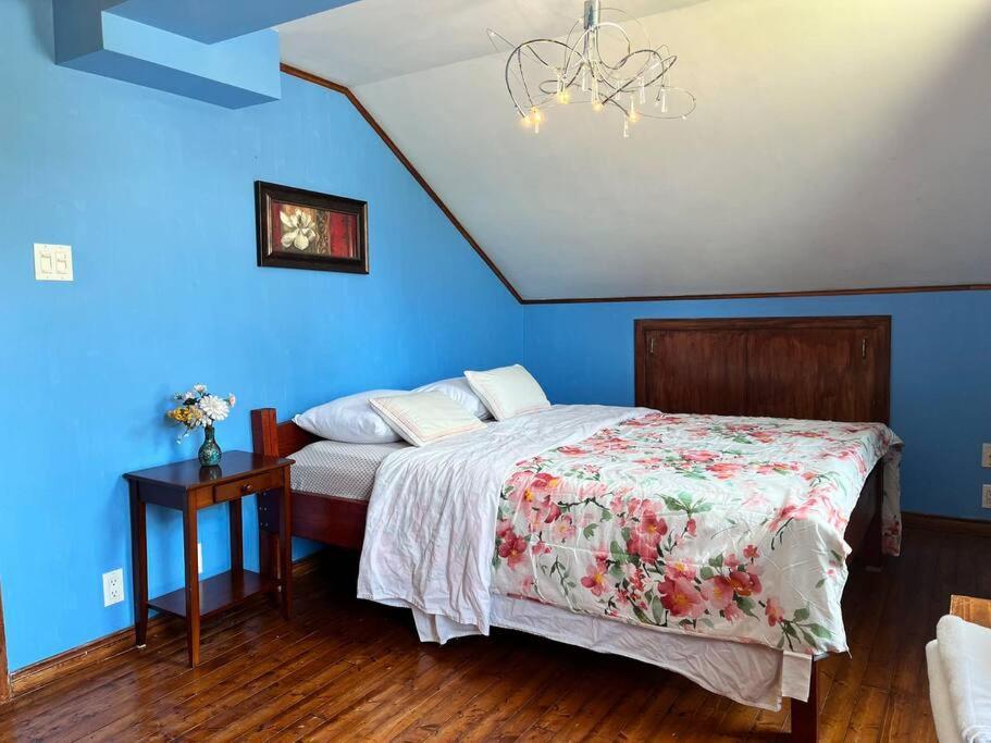 Petite Maison 2 Bedrooms Holiday home *
